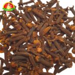 WhatsApp Image 2026-02-18 at 8.44.55 PM