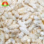 WhatsApp Image 2026-02-15 at 2.13.35 PM