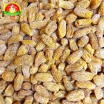 WhatsApp Image 2026-03-07 at 4.30.52 PM