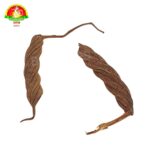 WhatsApp Image 2026-02-19 at 3.24.41 PM