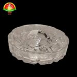 WhatsApp Image 2026-02-17 at 7.21.53 PM