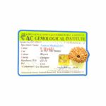 9 face rudraksha
