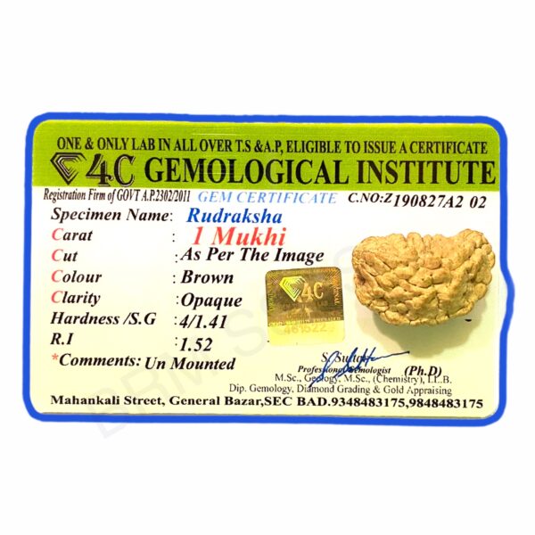 1 face rudraksha