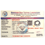 Photoroom-20250414_155052
