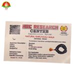 WhatsApp Image 2025-12-01 at 16.40.27_34f72154