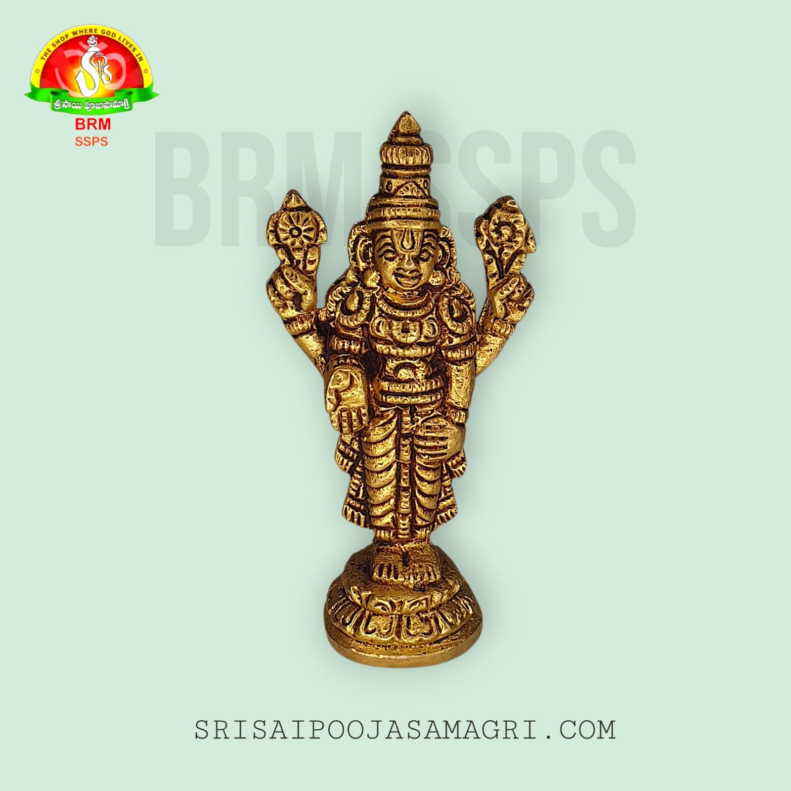 Brass Balaji Idol